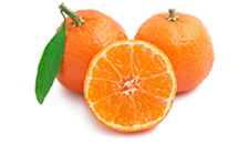 Mandarinas sobre fondo blanco 