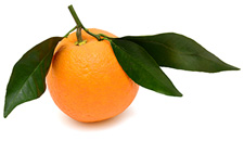 Naranja sobre fondo blanco 