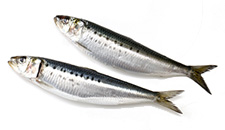 Dos sardinas 