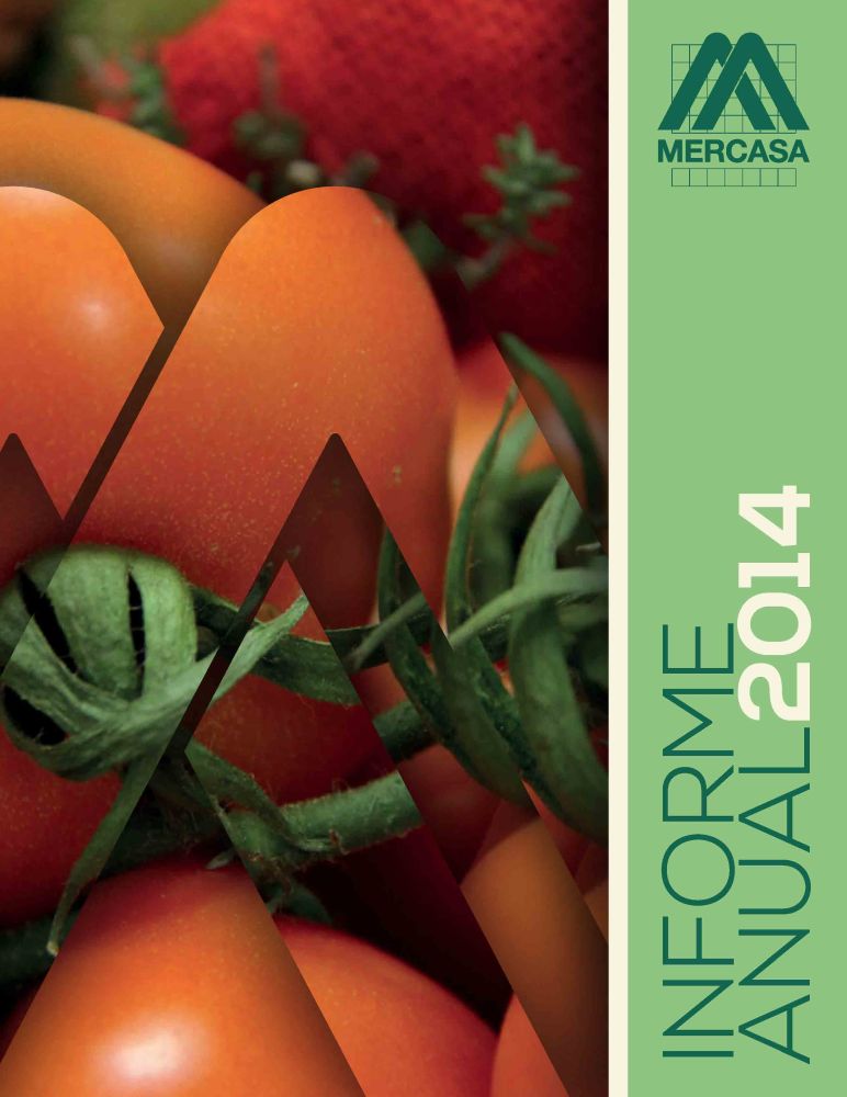 Informe anual Mercasa 2014