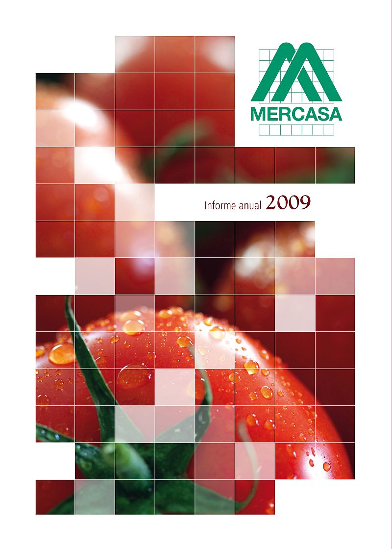 Informe anual Mercasa 2009