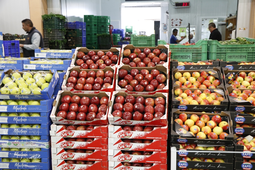 Rezumar Amoroso patio La importancia de la cadena comercial de frutas y hortalizas frescas –  Mercasa