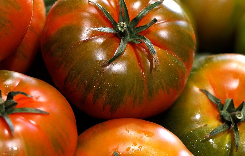 Primer plano de tres tomates