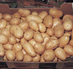 Caja de patatas en el mercado