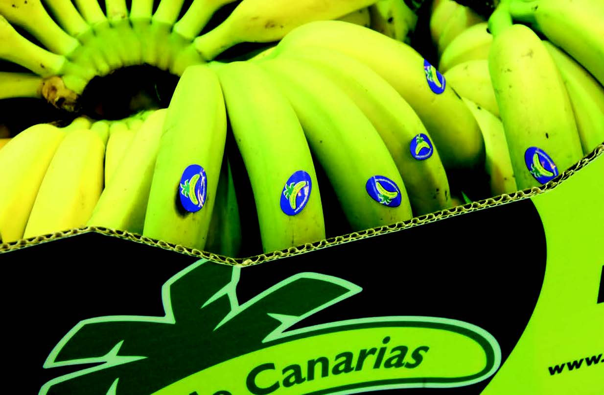 Caja de plátanos de Canarias