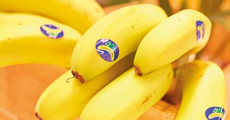 Plátanos con etiqueta de Canarias