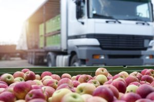Comercialización de alimentos y bebidas