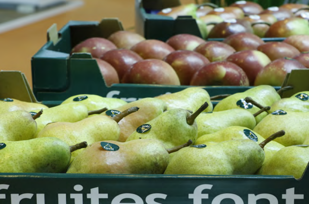 Frutas y hortalizas