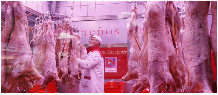 Carnes y productos cárnicos