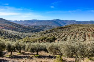 Extremadura