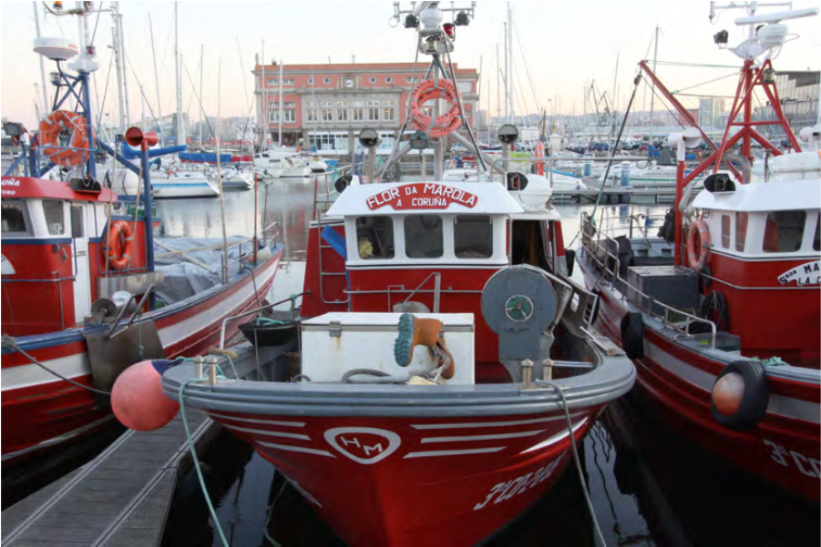 Productos de la Pesca y la Acuicultura