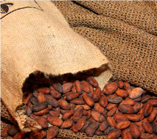 Chocolates y derivados del cacao