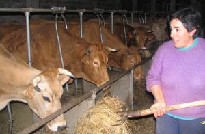 El papel de las mujeres en la cadena alimentaria Una mirada desde el medio rural