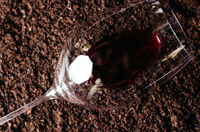 Vinos de la tierra con IGP