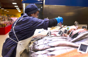 Retos del sector pesquero: sostenibilidad, relevo generacional y aumento del consumo