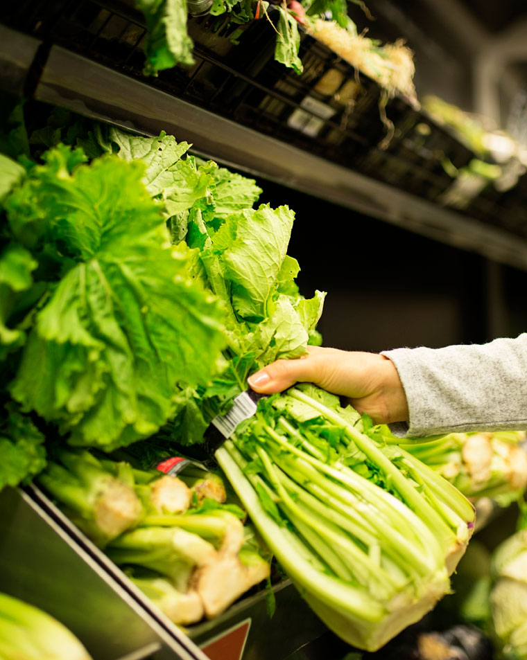 Alimentación Mercasa